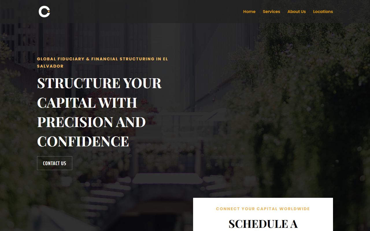 Coin Global Capital website