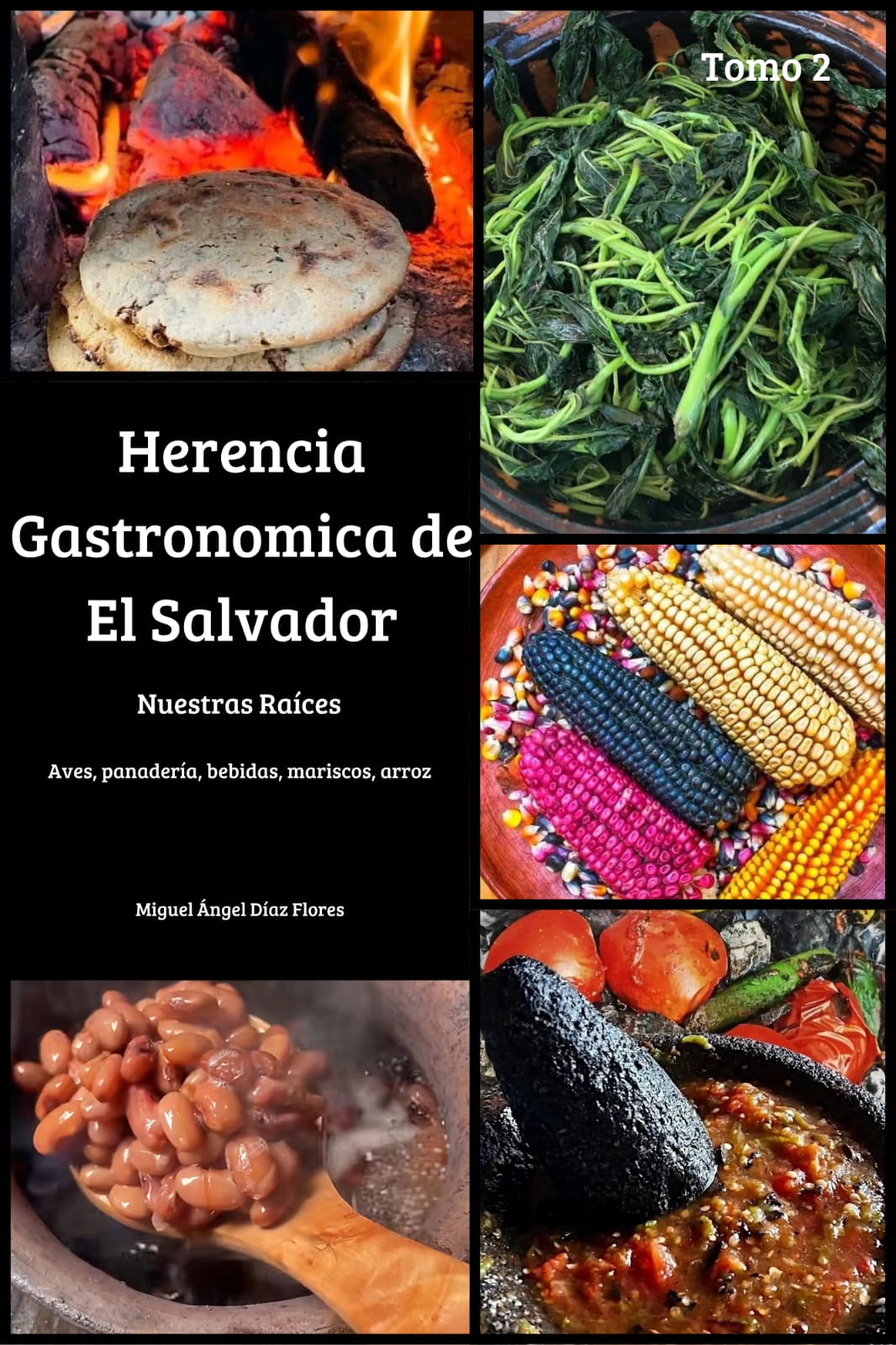 Tomo 2 — Aves, Panadería, Bebidas, Mariscos y Arroz