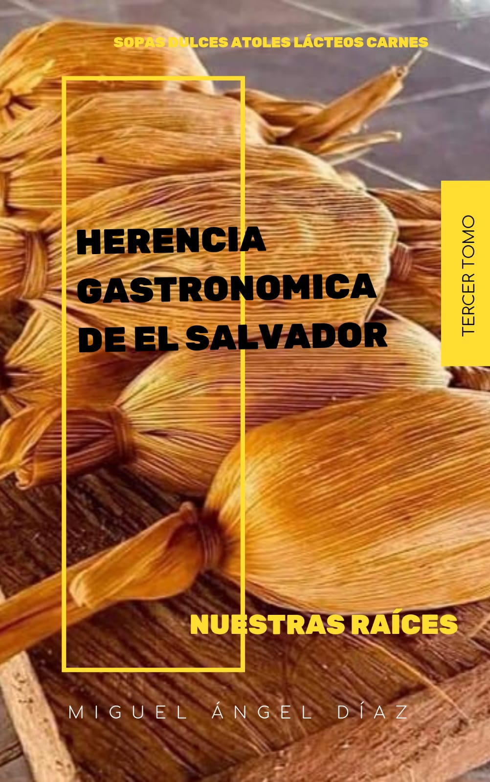 Tomo 3 — Sopas, Dulces, Atoles, Lácteos y Carnes